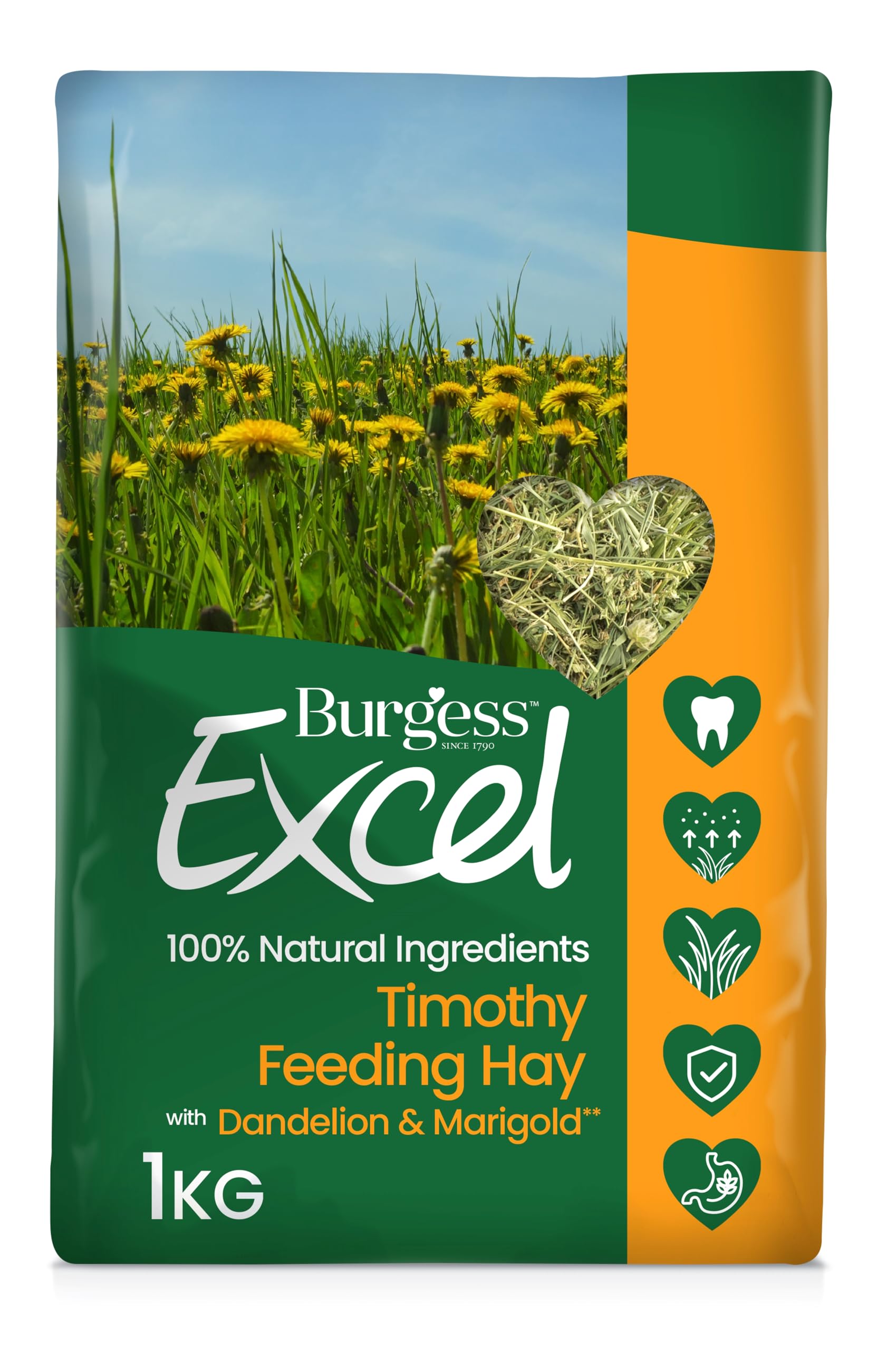 Burgess Excel Feeding Hay with Dandelion and Marigold 1kg