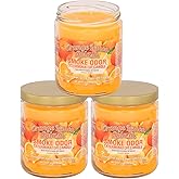 Smoke Odor Exterminator 13 oz Jar Candles Orange Lemon Splash, (3)