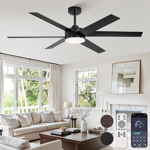 FANBULOUS 56 INCH CEILING FANS WITH LIGHTS AND REMOTE, REVERSIBLE 6 BLADES, DIMMABLE, 3000K-6000K ADJUSTABLE, OUTDOOR CEILING FANS FOR PATIOS, LARGE CEILING FAN FOR INDOOR OR COVERED OUTDOOR-BLACK