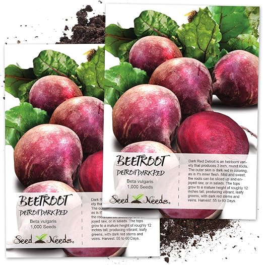 Detroit Beetroot 200 Seeds Beets Heirloom Non Gmo Usa Vegetable Free Shipping Vegetable Seeds
