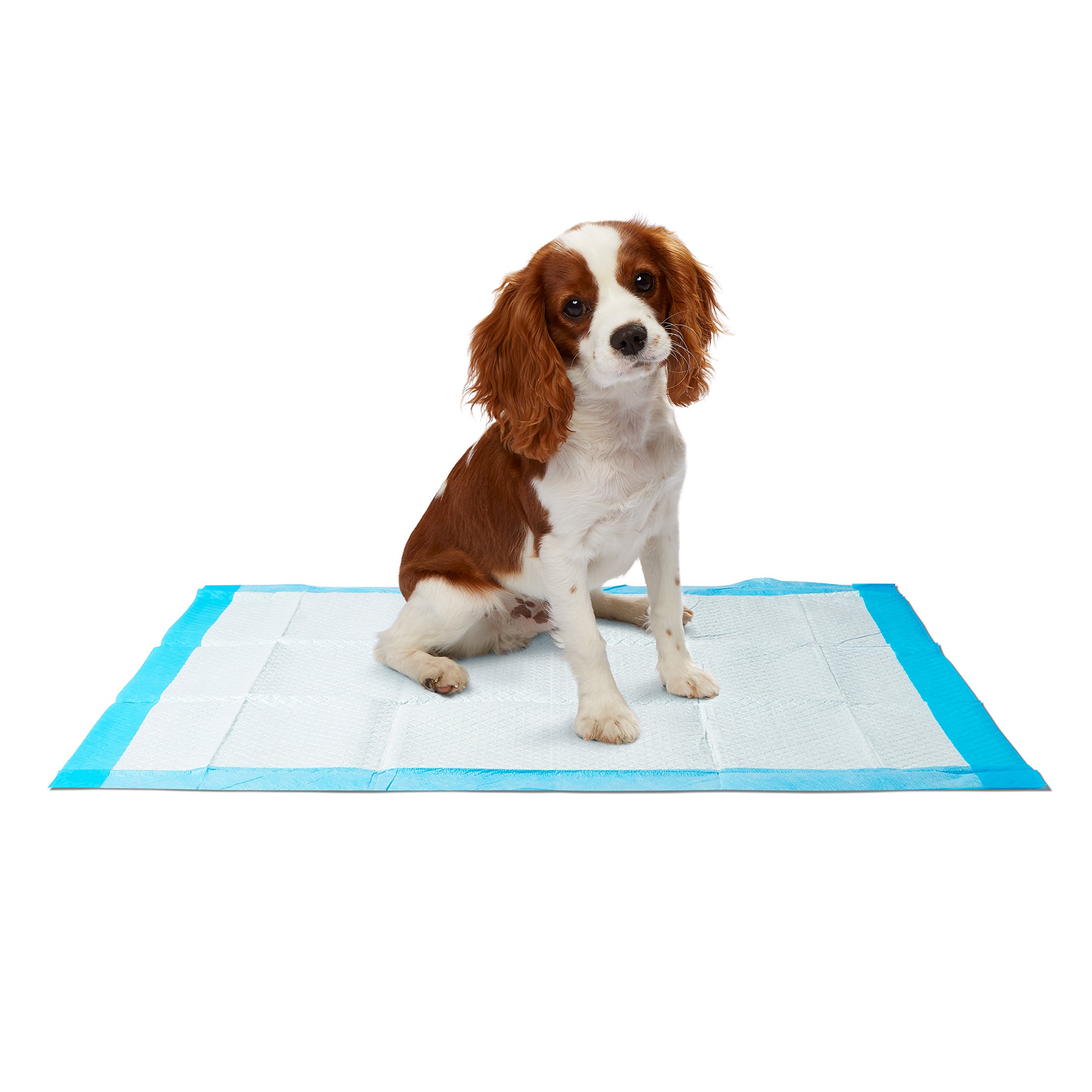 Dr. Dunley Dog Puppy Pads, Super Absorbent, Easy Clean Up, 23"X 24