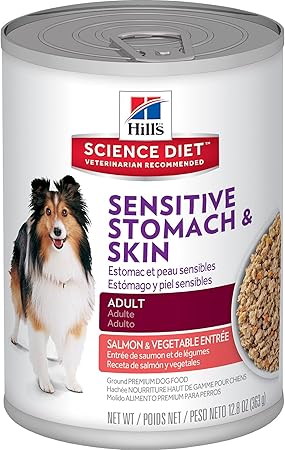 science diet salmon dog food