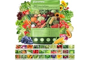 【Seed Vault】 Heirloom Vegetable Seeds Planting Kit - 15,000+ Non-GMO Seeds for Hydroponic, Indoor & Outdoor Gardening | Inclu