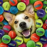 SPORTSPET Multicolour Tennis Balls for Dogs 64mm Pack of 12 Rubber view 2