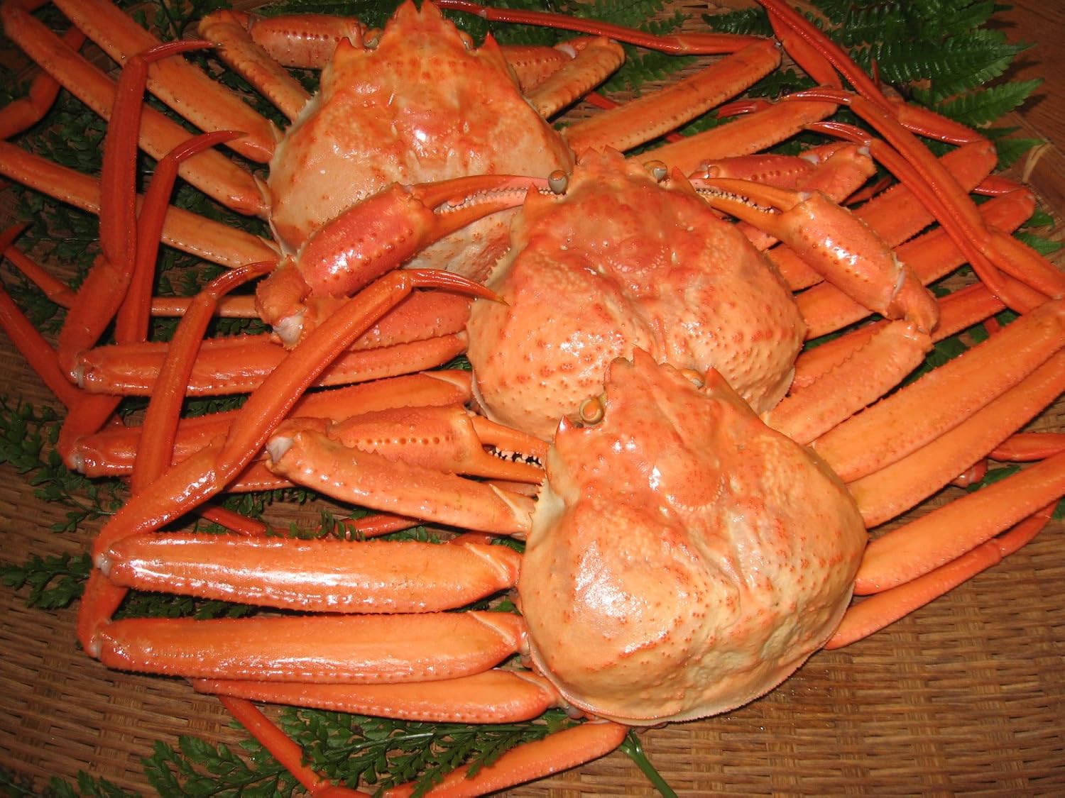 Amazon 能登の魚新 ご注文受付中 能登の紅ズワイガニ 35cm以上 ３ハイ ３４８０円 気象条件により発送が遅れる場合がございます 能登の魚新 カニ 通販