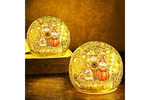 FRAMICS 2 PCS Fall Decorations for Home 4" Gnome Pumpkin Crackle Glass Balls Led Globe Light with Timer Thanksgiving Decorations Lighted Fall Decor Thanksgiving Centerpieces for Tables Gift