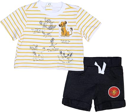 lion king baby stuff amazon