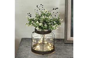 FIAHOSEY Vintage Glass Farmhouse Vase, Rustic Lantern Decor with Plants Flowers Lights Vintage Style Vases for Home Decor Floral Arrangement Hostess Gift