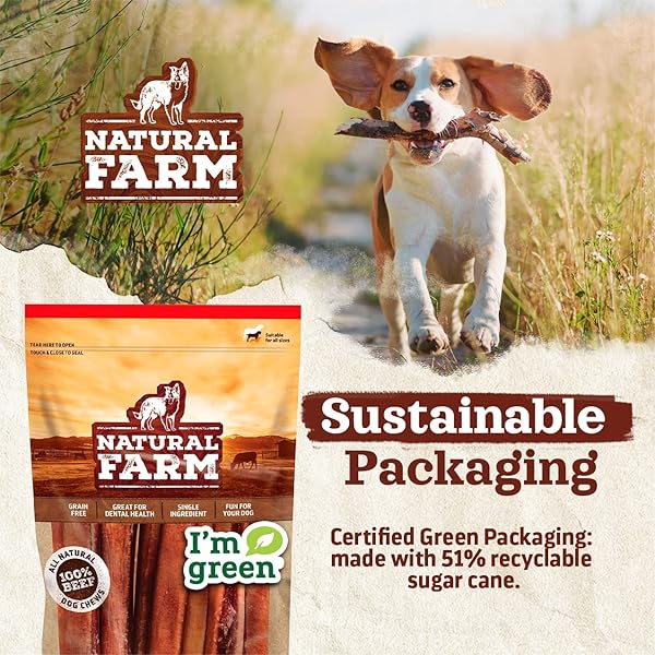 NATURAL FARM BULLY STICKS (6 INCH, 50 PACK), THIN PIXIE PIZZLE BEEF TREATS, GRAIN-FREE, HIGH PROTEIN, BEST RAWHIDE ALTERNATIVE FOR SMALL, PUPPIES OR SENIOR DOGS