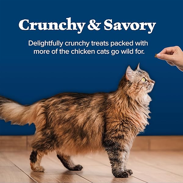 BLUE BUFFALO WILDERNESS CRUNCHY CAT TREATS, GRAIN-FREE TREATS FOR CATS MADE WITH NATURAL INGREDIENTS, GREAT FOR TRAINING, TASTY CHICKEN FLAVOR, 12-OZ. TUB