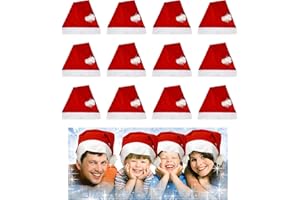 THEGAG 1 Dozen- Economy Santa Hats-Adult size-ONE SIZE FITS ALL, Style May Vary