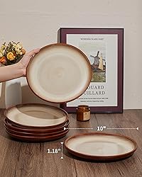 Pokini 10 Inch Dinner Plates Set of 6, Porcelain