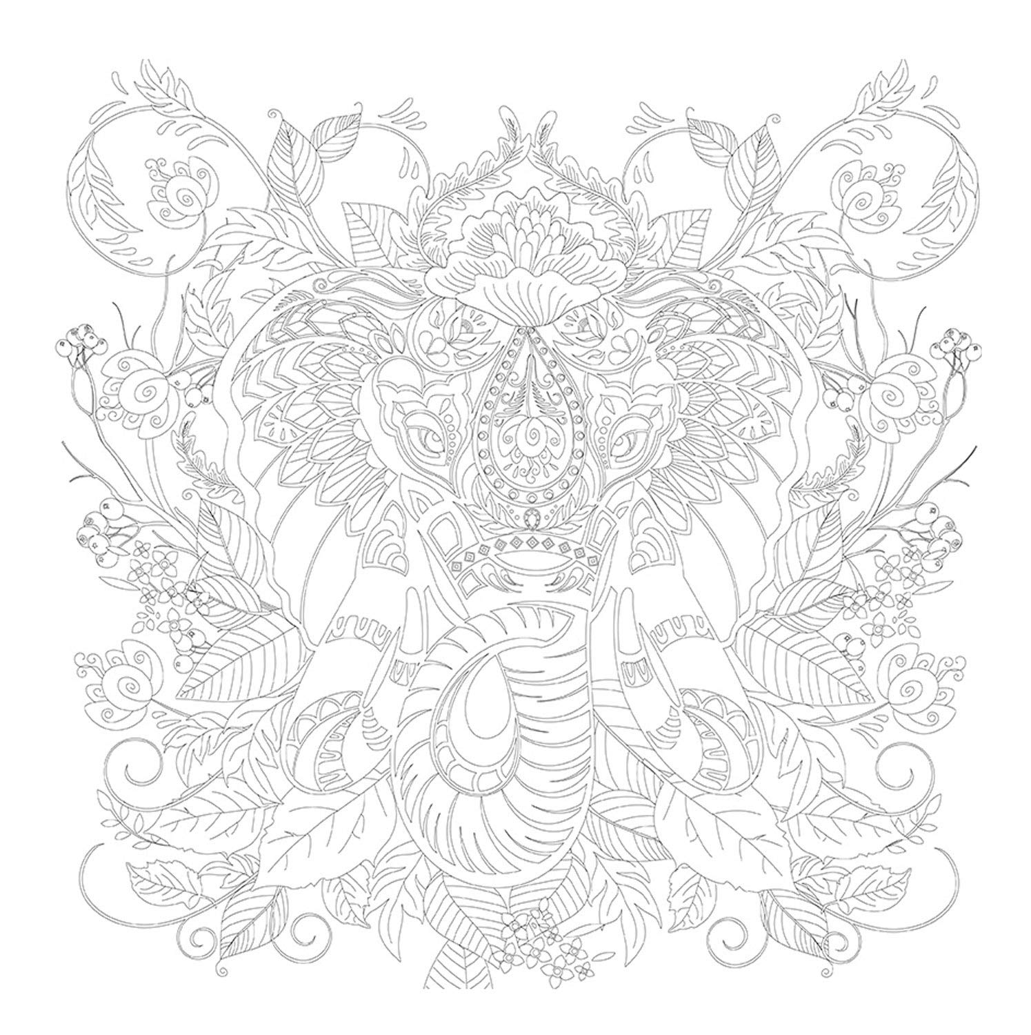 Honsell 12134 Stretcher Frame with Elephant Motif, Size 30 x 30 cm, Pre-Printed Motif for Colouring with Acrylic, Watercolour and Oil Paints and Felt and Colouring Pencils