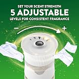 Airwick Air Wick Scented Oils 0+5 Fresh Linen Refills 60 Day Diffusion view 9