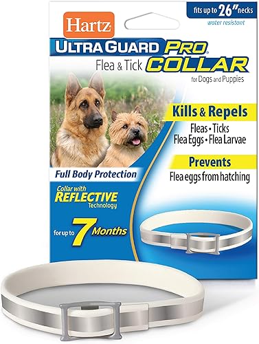 Hartz-UltraGuard-Pro-Reflective-Flea-&-Tick-Collar-for-Dogs-and-Puppies