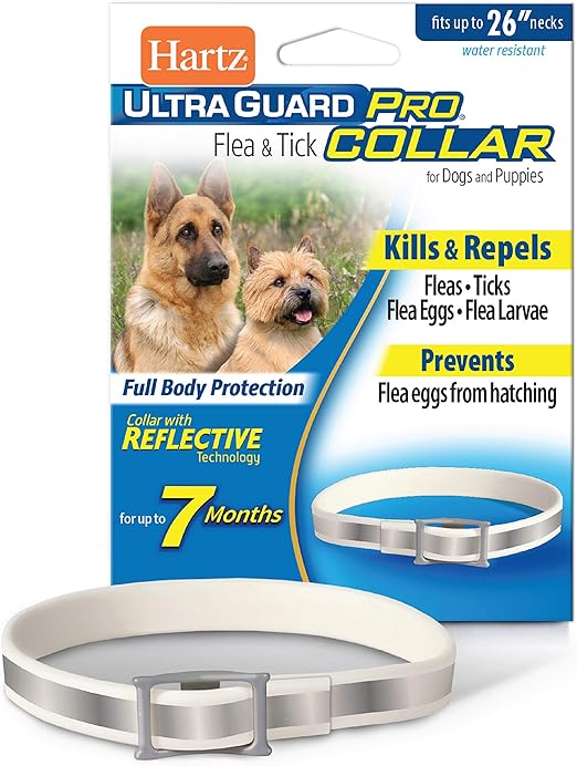 the best flea collars for dogs