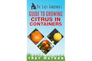 The Lazy Gardener's Guide to Growing Citrus in Containers