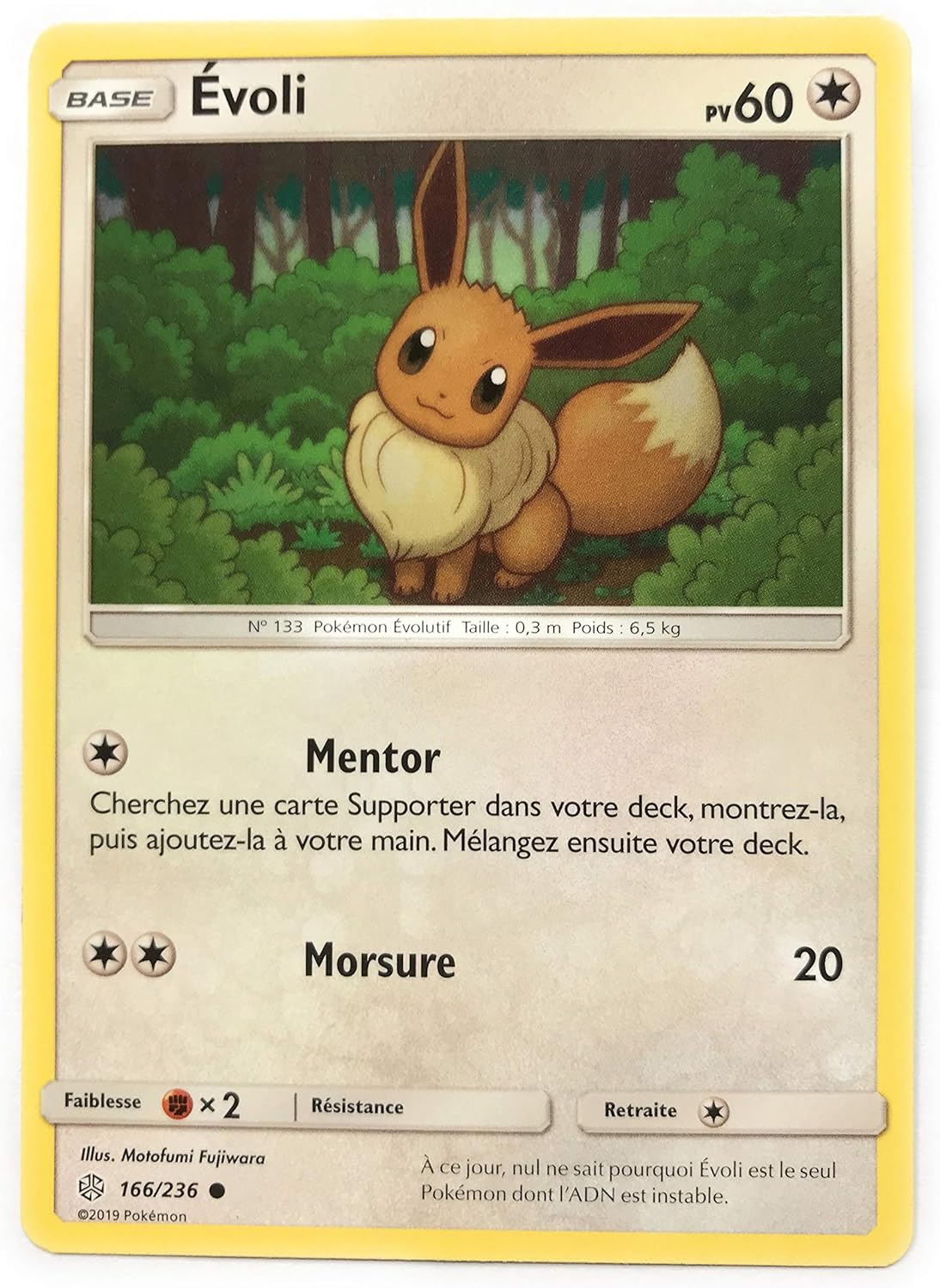 Bw Carte Pokemon En Francais Evoli Et La Famille En Evolution Au Choix Cartes A L Unite Jeux Et Jouets Simoncustoms Com