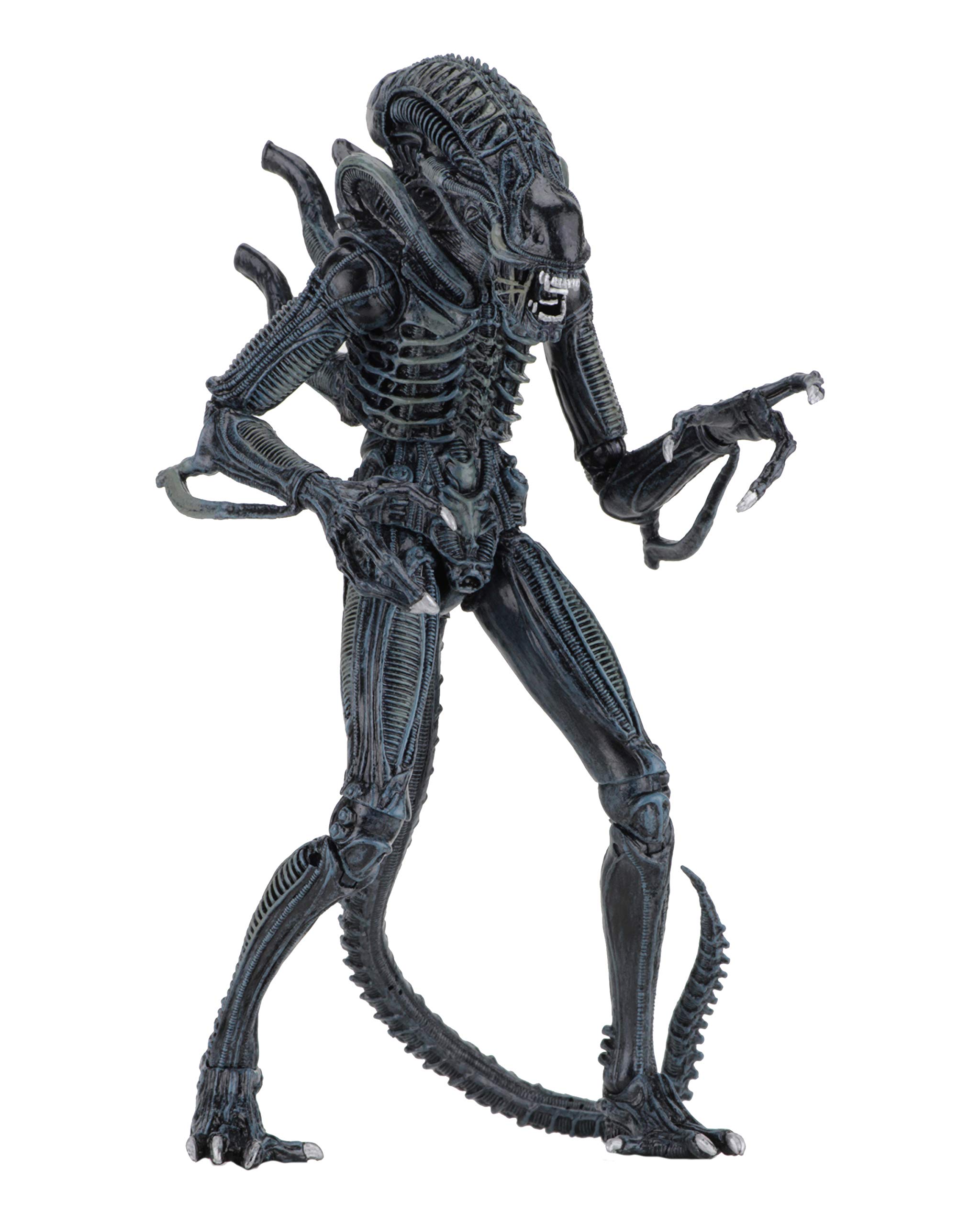 NECA Alien Blue Ultimate Warrior 1986 23cm Scale Action Figure Aliens, Color (NEC0NC51647