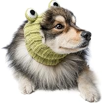 Amazon.com: Zoo Snoods Disfraz de rana, tejido de punto para perro ...