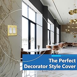 LIDER Dual Decorator Switch or Receptacle Metal