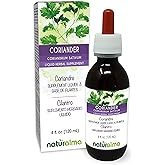 Naturalma Coriander or Cilantro (Coriandrum sativum) Fruit Alcohol-Free Tincture - 4 fl oz Liquid Extract in Drops - Herbal Supplement - Vegan