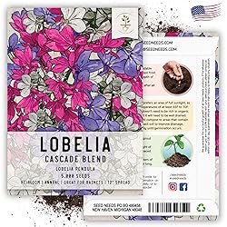 Seed Needs, Cascade Mixture Lobelia Seeds - 5,000
