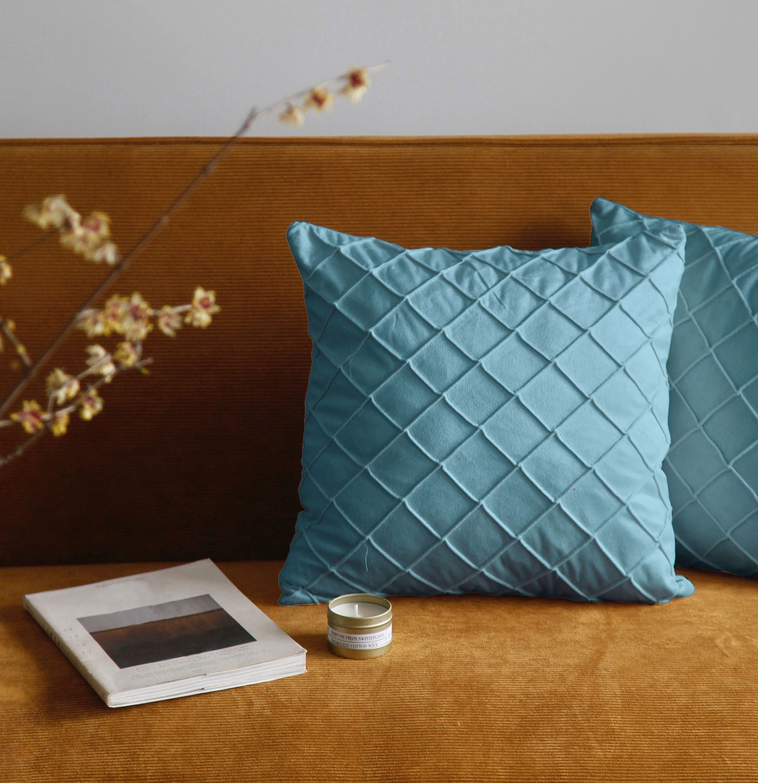 Pagnanno. Set of 2 Soft Velvet Cushion Covers 45x45cm(18x18 Inches) Squares Throw Pillowcases Cushion Covers for Chairs,living room,bedroom with Invisible Zipper (18"x18" (Pack of 2), Sky Blue)