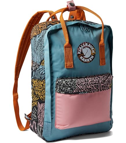 Amazon.com: Fjallraven Kanken Art Special Edition Backpack, Spring