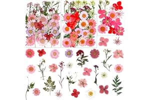 LUCISKY 83 Pcs Pink Real Dried Pressed Flowers Natural Leave Petals for DIY Resin Molds Candle Jewelry Nail Crafts
