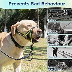 BARKLESS Muzzle Leash for Heavy Pullers, No Pull