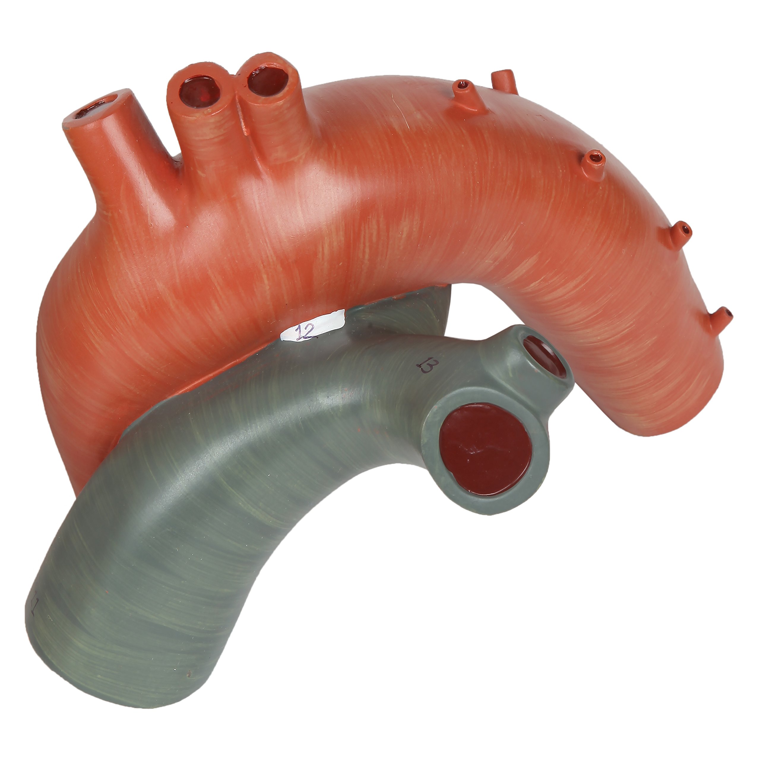 Large Human Heart Model, 3x Life-Size, 3-Part Numbered Anatomical Heart Illustrates 34 Internal Structures, Magnetically Connected, Includes Product Manual, Made by Axis Scientific