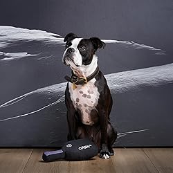 CRBNᴷ⁹ Squeak Dog Toy - Pickleball Gifts - The
