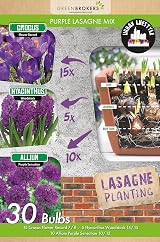 GreenBrokers Purple Lasagne Mix 30 Spring Bulbs Bee Friendly Premium Dutch view 2
