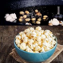 Concession Essentials Premium Gourmet Mushroom