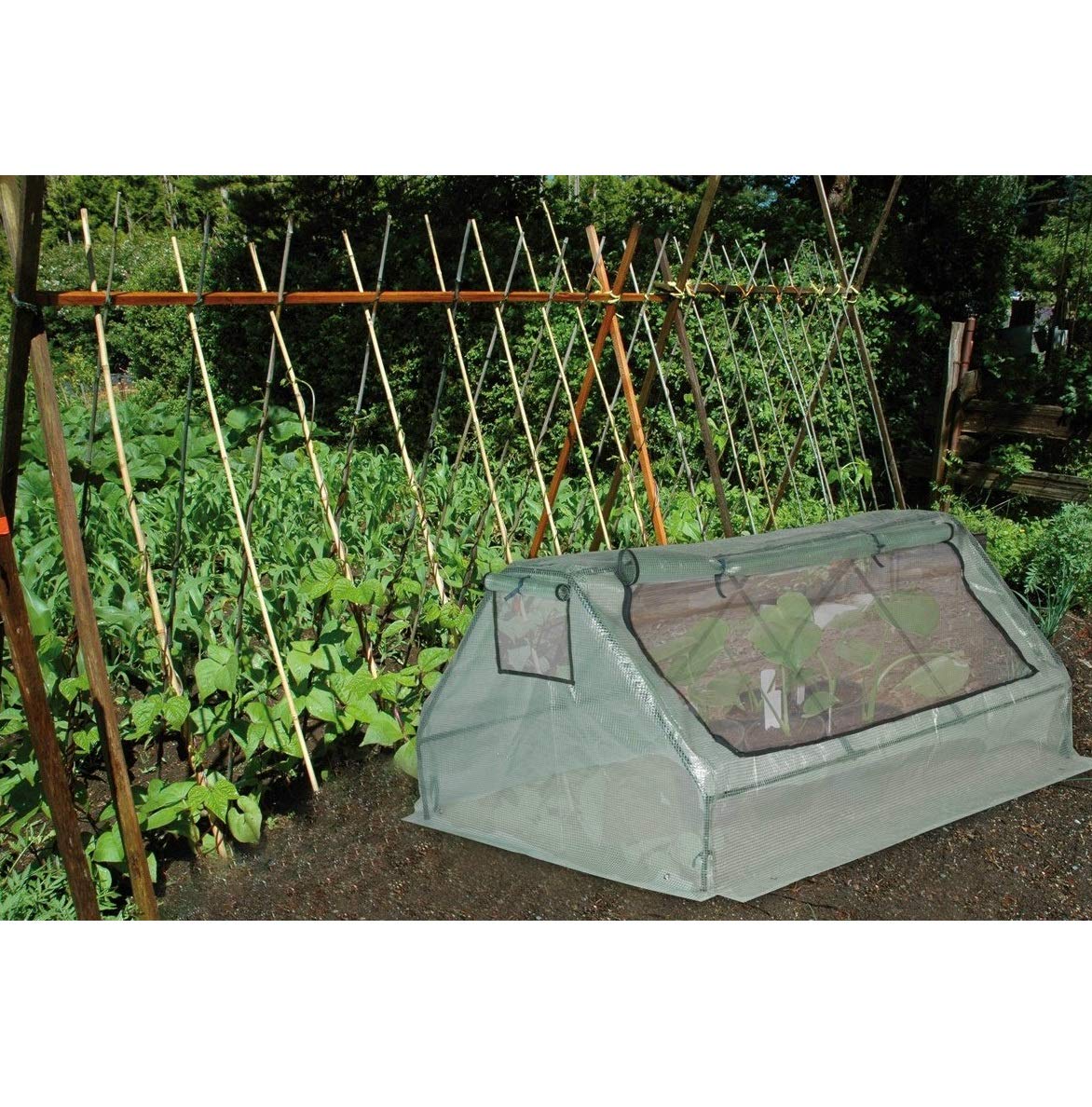 Cold Frame Greenhouse Film Garden 180X142X83
