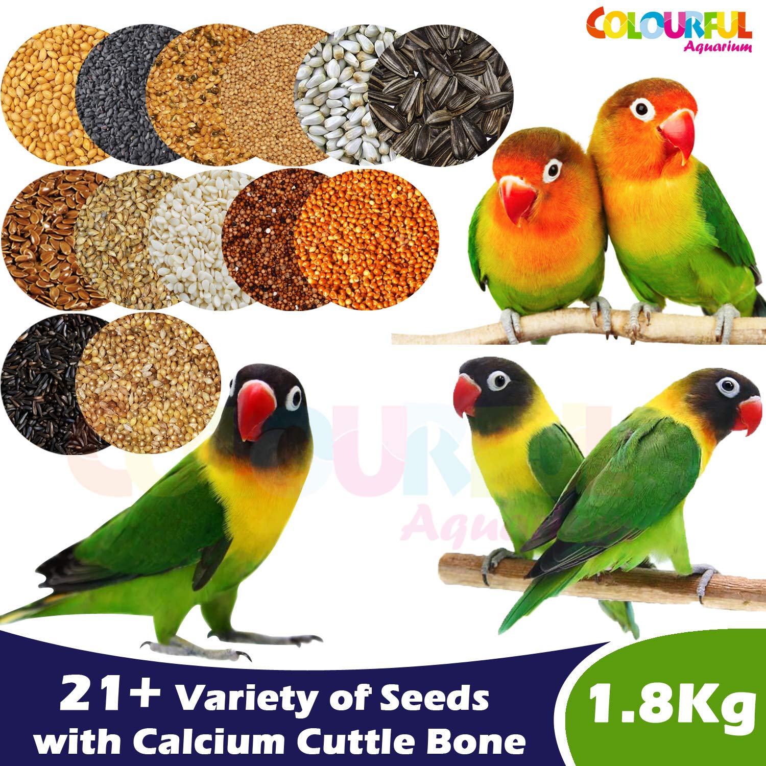 best food for lovebirds