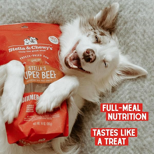 STELLA & CHEWY’S FREEZE DRIED RAW DINNER PATTIES – GRAIN FREE DOG FOOD, PROTEIN RICH STELLA’S SUPER BEEF RECIPE – 5.5 OZ BAG