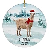 Santa Hat and Scarf Welcome Winter Red Goat