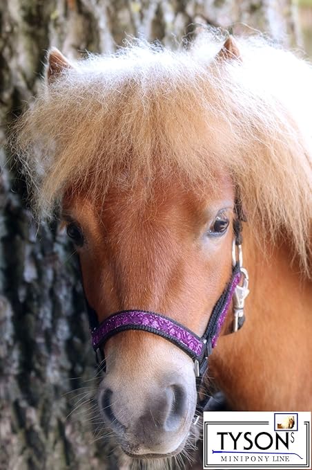 Fancy Glitzer Halfter Lila Glitzerhalfter Minishetty Shetty Pony VB WB Bling Nylon Halfter Tysons !