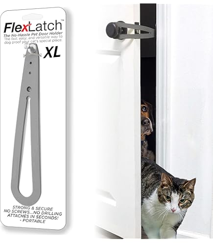 How to Stop Cats from Opening Doors: Easy Tricks That Work