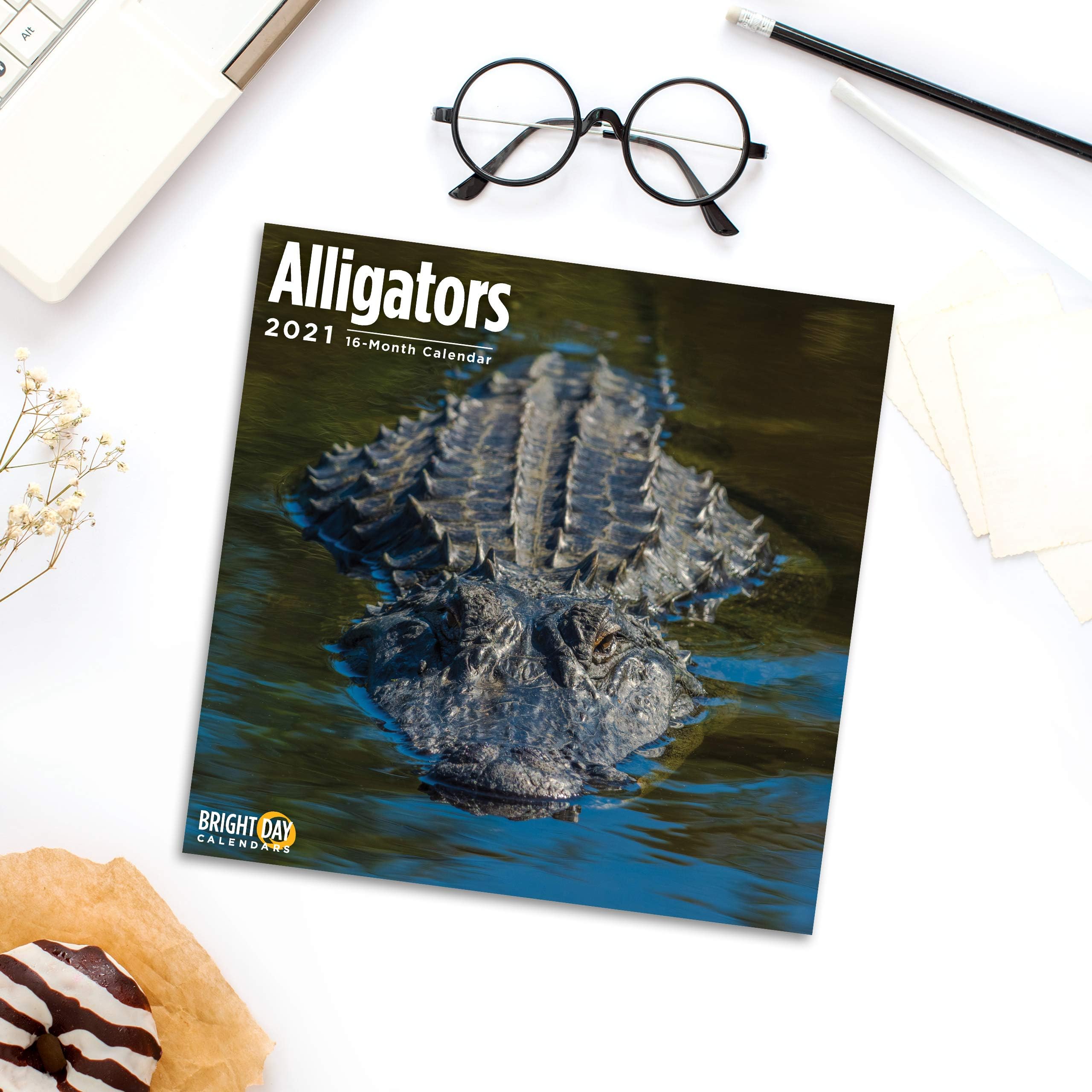 2021 Alligators Wall Calendar by Bright Day, 12 x 12 Inch, Reptile Gator Lizard