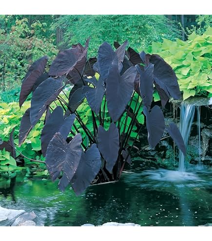 artificial philodendron vine plant 71 Inches Artificial Green Plants Philodendron Vine Fake Plant Vine – Rose  Morning main image 1