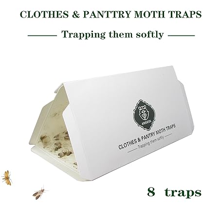 Pantry Moth Cloth Moth Traps Safe Nontoxic Odor Free Hybrid
