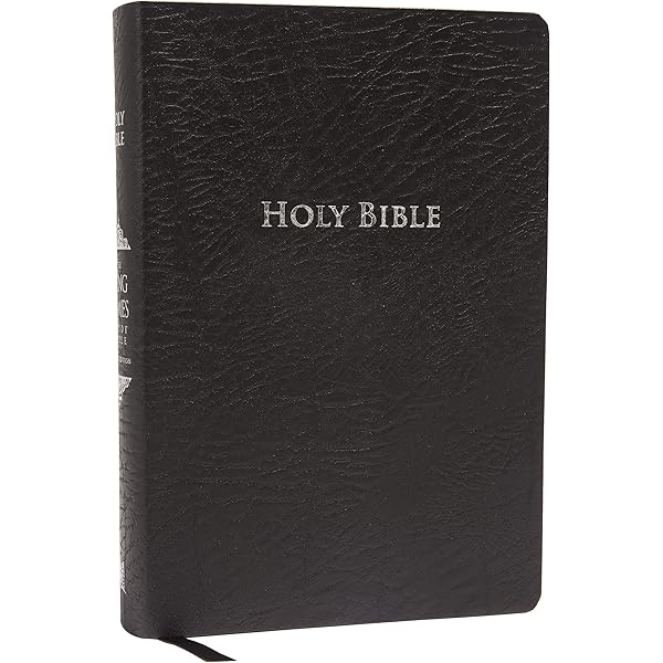 The Word: The Bible from 26 Translations/Bonded Leather