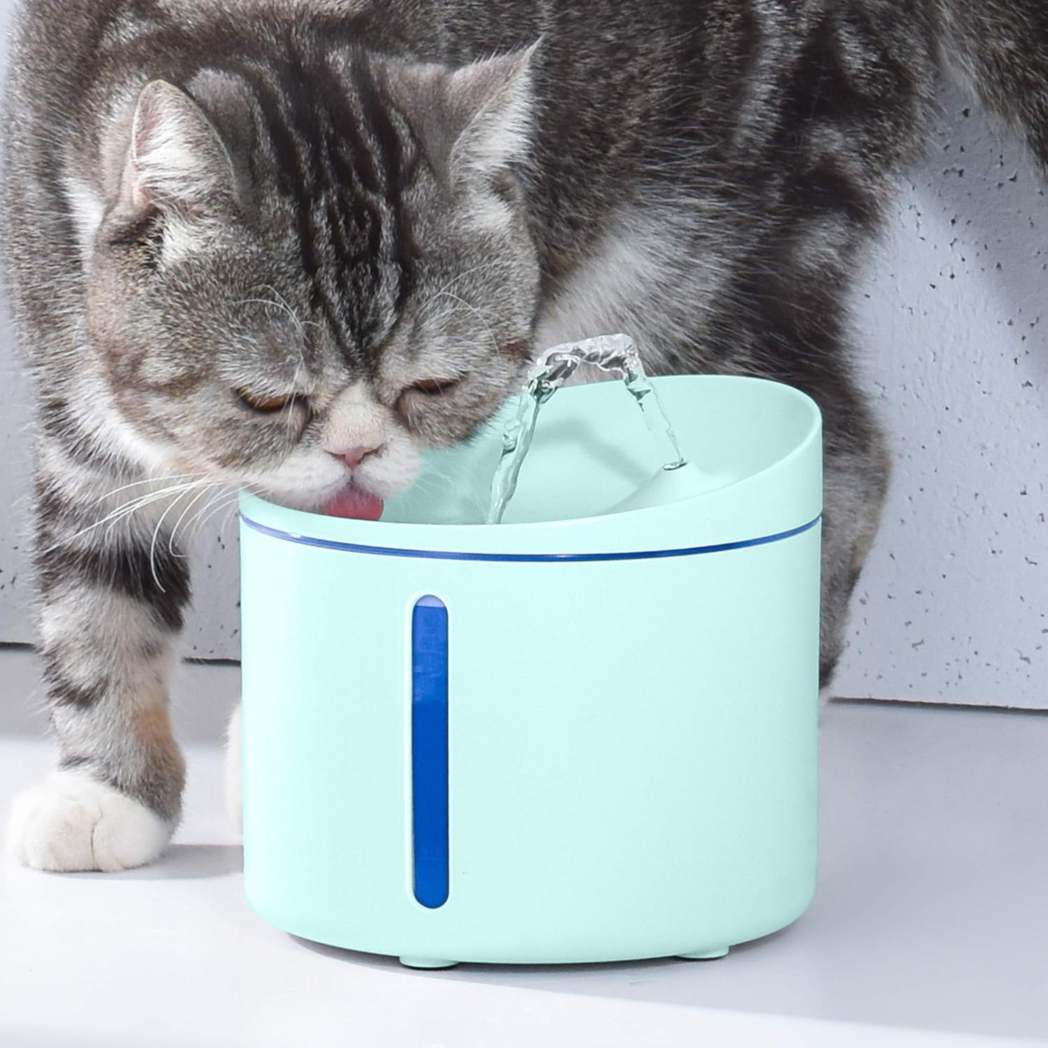 mini pet water fountain