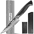 aisyoko 4.5 Inch Paring Knife, Damascus Steel Chef Knife with Ergonomic G10 Handle, VG10 High Carbon Steel, Professional Kitchen Knife for Fruit Vegetable Carving, Ultra Sharp Blades