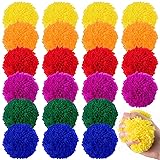 FRESHBALL 24 Pcs Kickball Dodgeballs 3.5 Inches