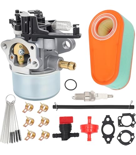 Amazon.com: Carburetor For Briggs & Stratton 216693 Engine