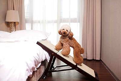 Merry Products Collapsible Pet Ramp